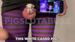 Thumbnail for thread with ID 940550128